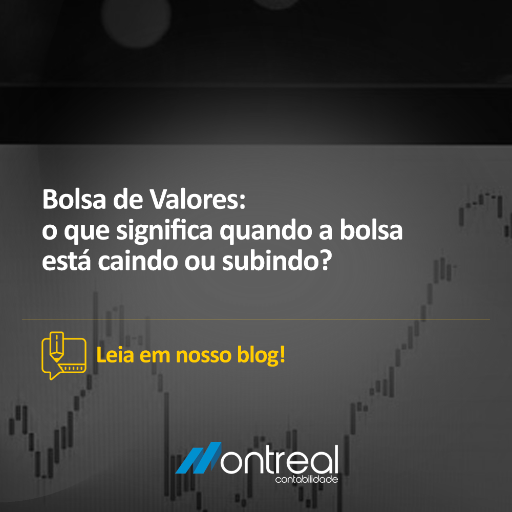 Bolsa de Valores: o que significa quando a bolsa está caindo ou subindo?